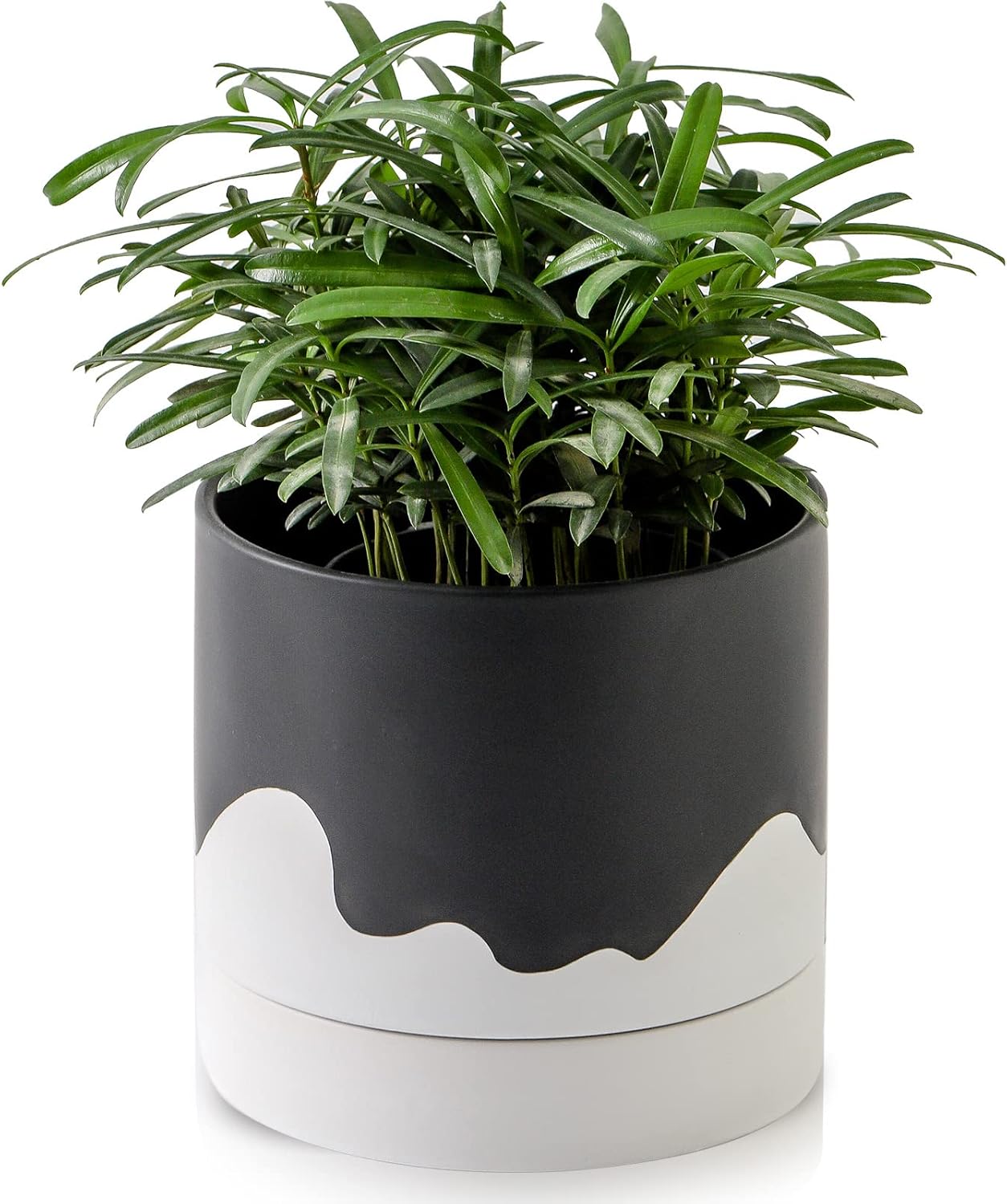 Nihow Ceramic Plant Pot: 6 Inch Planter with Drainage Hole & Saucer for Indoor & Outdoor Plants