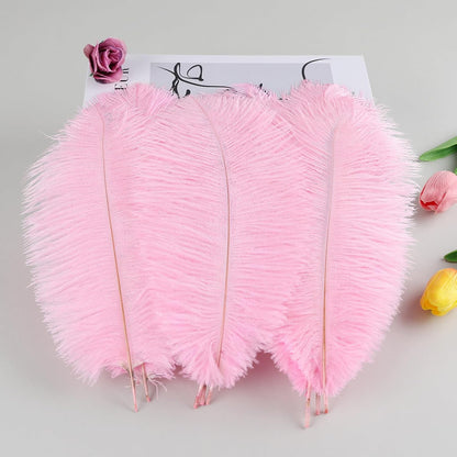 THARAHT Pink Ostrich Feathers 12pcs Natural Bulk 8-10Inch 20cm-25cm for Crafts Wedding Party