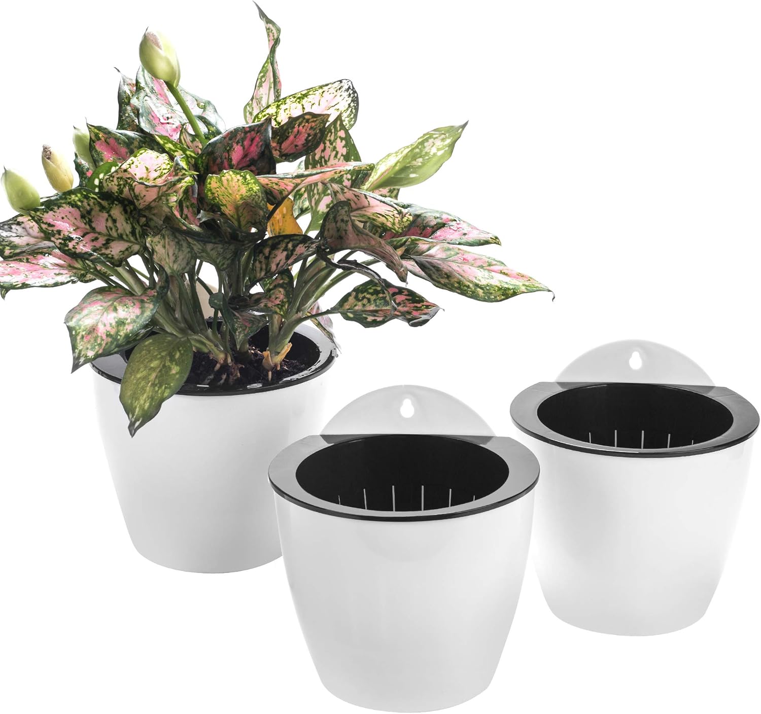 3 Pack Self Watering Wall Hanging Planter Pots Vertical Garden Window Hang Mount Indoor Outdoor