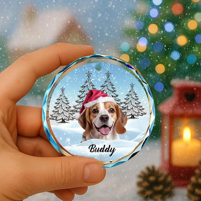 Personalized Photo Crystal Ornament, 2025 Custom Pet Engraved Christmas Keepsake, Memorial Gift for