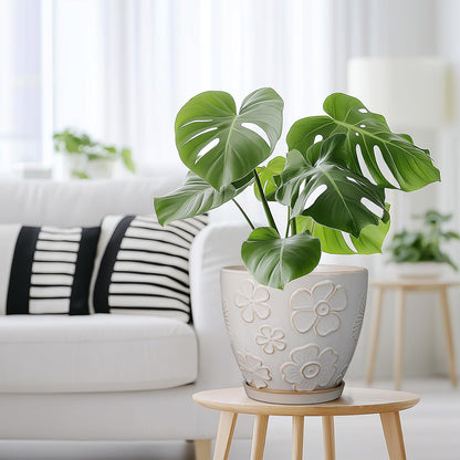 Ceramic Planter 8 Inch Plant Pot with Drainage Hole and Saucer Ceramic Pots for Indoor Plants