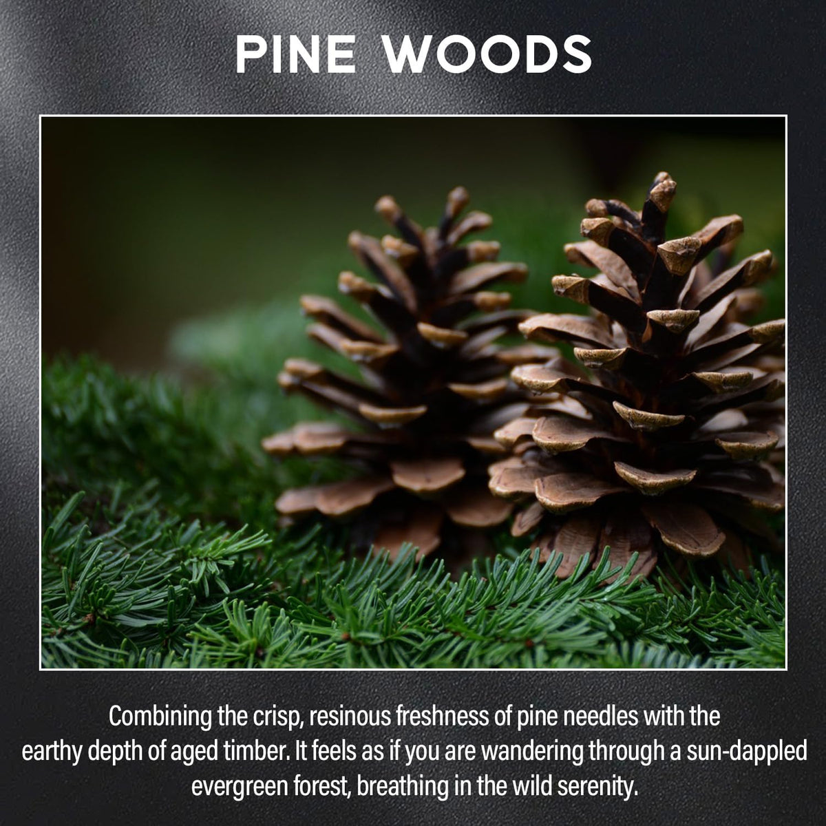 Pine Woods Candle, 9oz Scented Candle for Men, Scented Candles for Home, Gifts for Men
