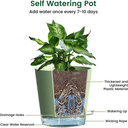 6 inch Self Watering Pots for Indoor Outdoor Plants, 3 Pack Flower Plant Pots with Drainage Holes