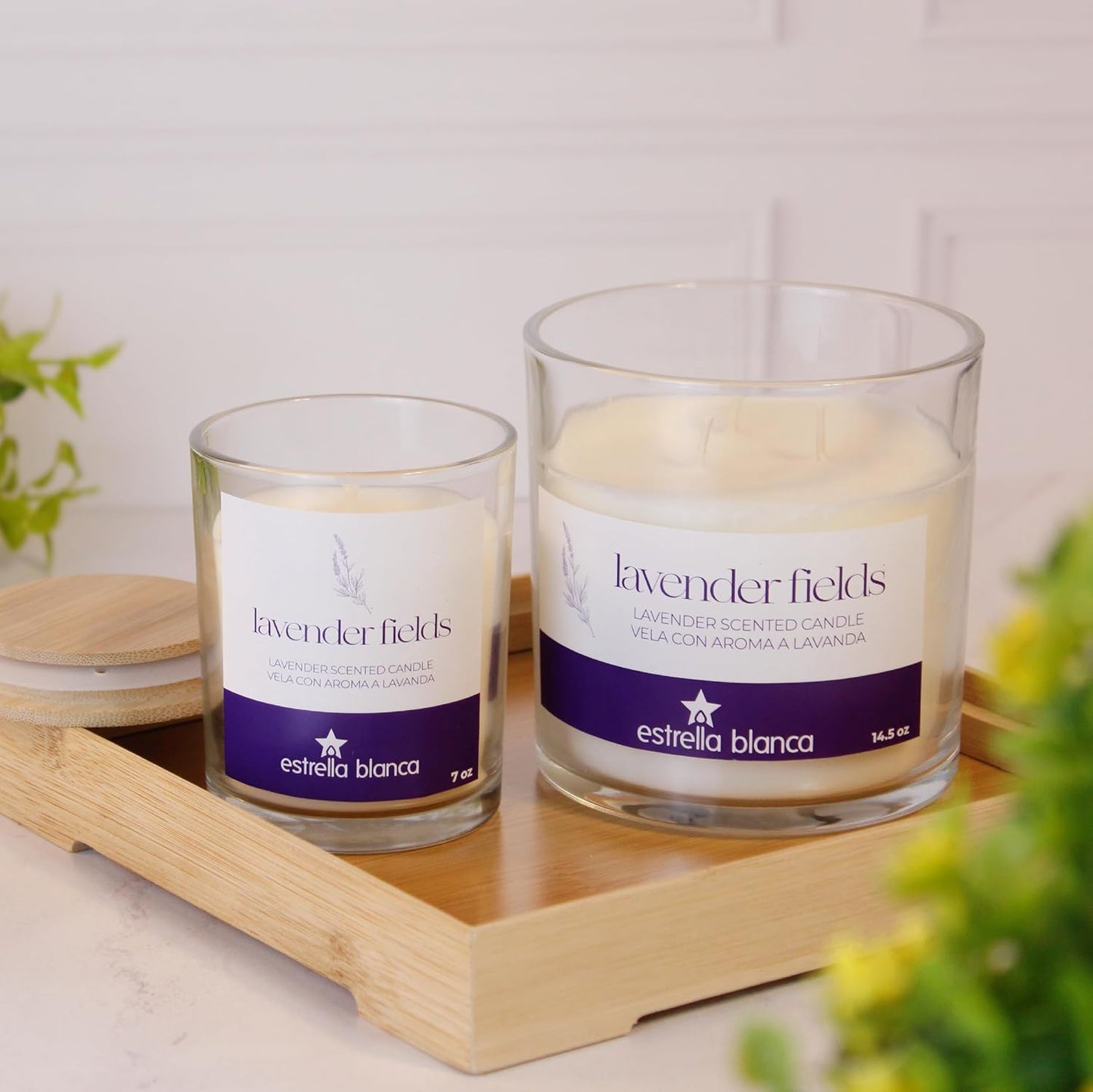 Lavender Fields Candle 7 oz – Best Smelling Soy Candle, Non Toxic, Long Lasting, Gift for Women