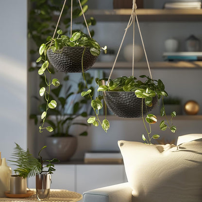 LA JOLIE MUSE Hanging Planters for Indoor Plants, Medium Hanging Planters with Drain Holes, Outdoor