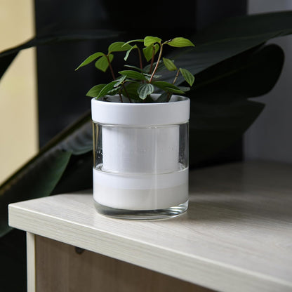 Phoenix Vine 4 Inch Self Watering Planter, White Terracotta Clay Pot with Glass Reservoir for