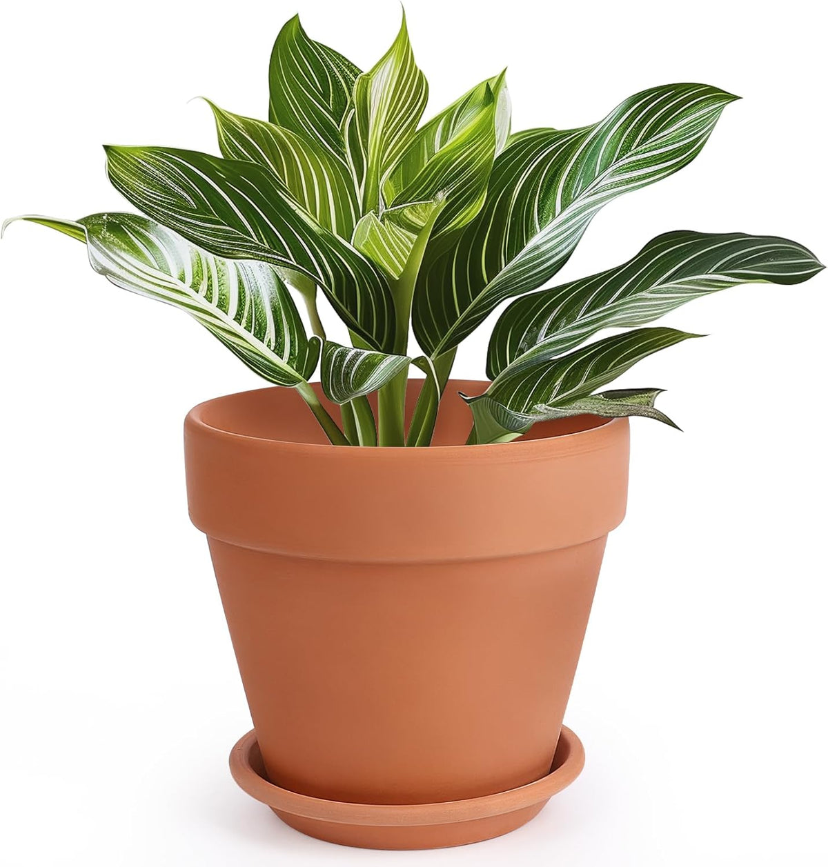 INGOFIN Terracotta Pot with Saucer - 10 Inch Ceramic Clay Pot for Plants with Drainage Hole, Large