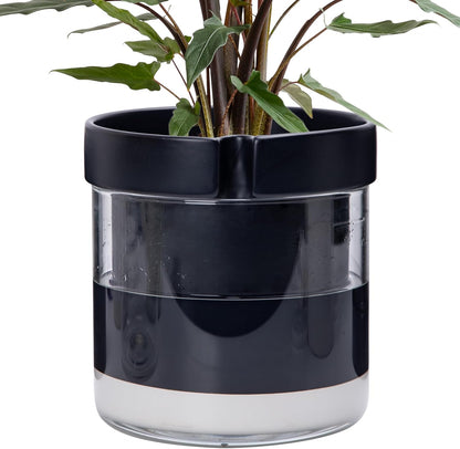Phoenix Vine 8 Inch Self Watering Terracotta Planter, Black Terracotta Clay Pot with Glass