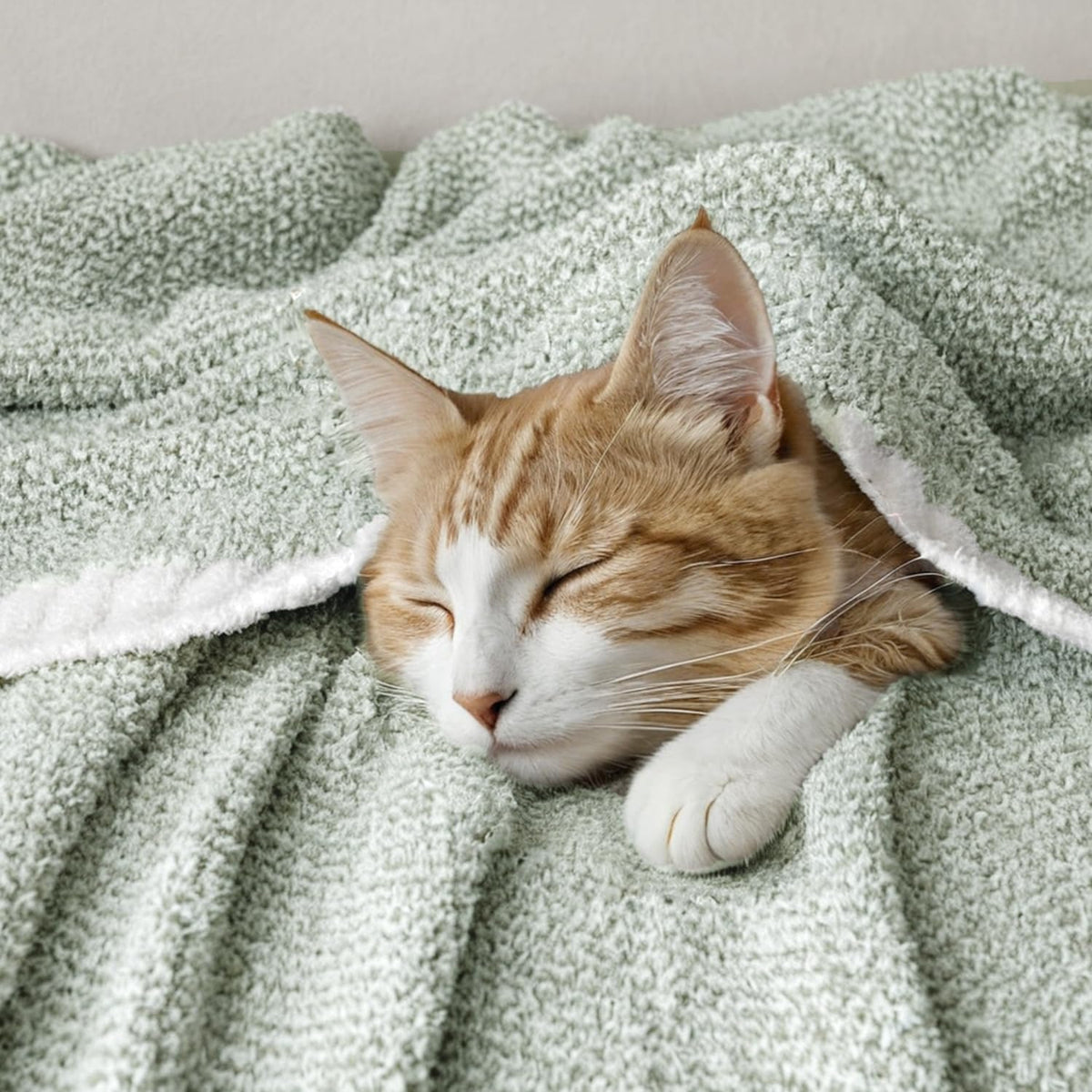 MIULEE Sage Green Super Soft Throw Blanket for Couch, Cozy Fluffy Warm Throws Knit Blankets for