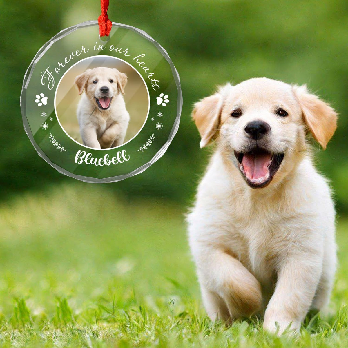 Personalized Pet Photo Ornaments, Dog Cat Custom Crystal Ornaments with Pictures for Pet Owner