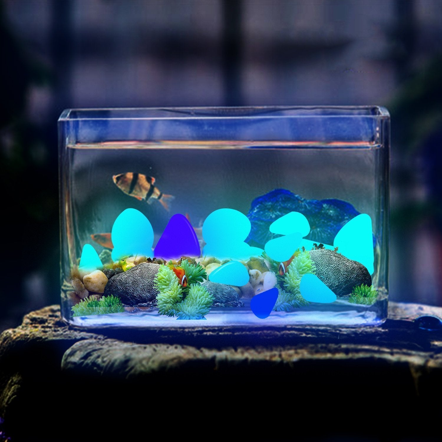 GLOCARNIVAL Glow Pebbles, 480 pcs Blue Glowing Rocks for Outdoor Decor, Garden Lawn Yard, Aquarium