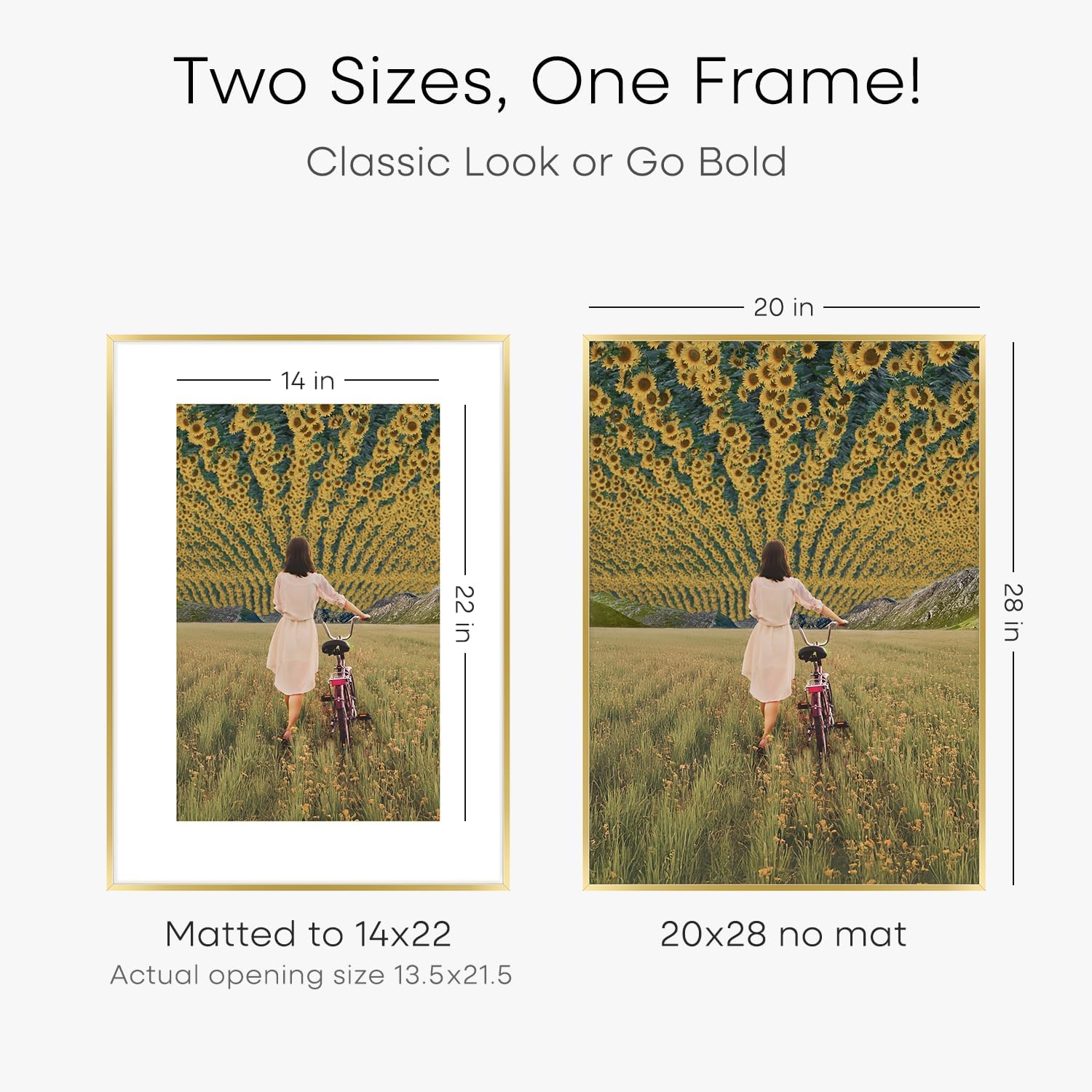 Homeforia 20x28 Picture Frame Gold, High End Metal 20 x 28 Poster Frames with Mat 14 by 22 Photo