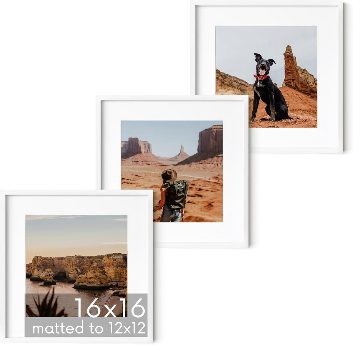 HAUS AND HUES 16x16 White Metal Picture Frames Matted to 12x12 - Features Premium Aluminum &