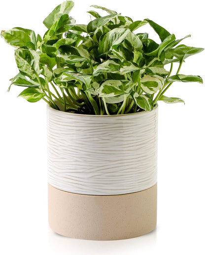 Nihow Self Watering Plant Pot: 6 Inch Ceramic Planter with Drainage Hole & Water Storage Plus for