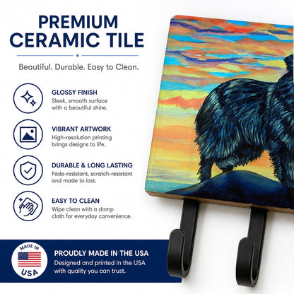 Caroline's Treasures 7518TH68 Newfoundland Leash or Key Holder, Wall Hooks, Key Hooks Holder, Coat