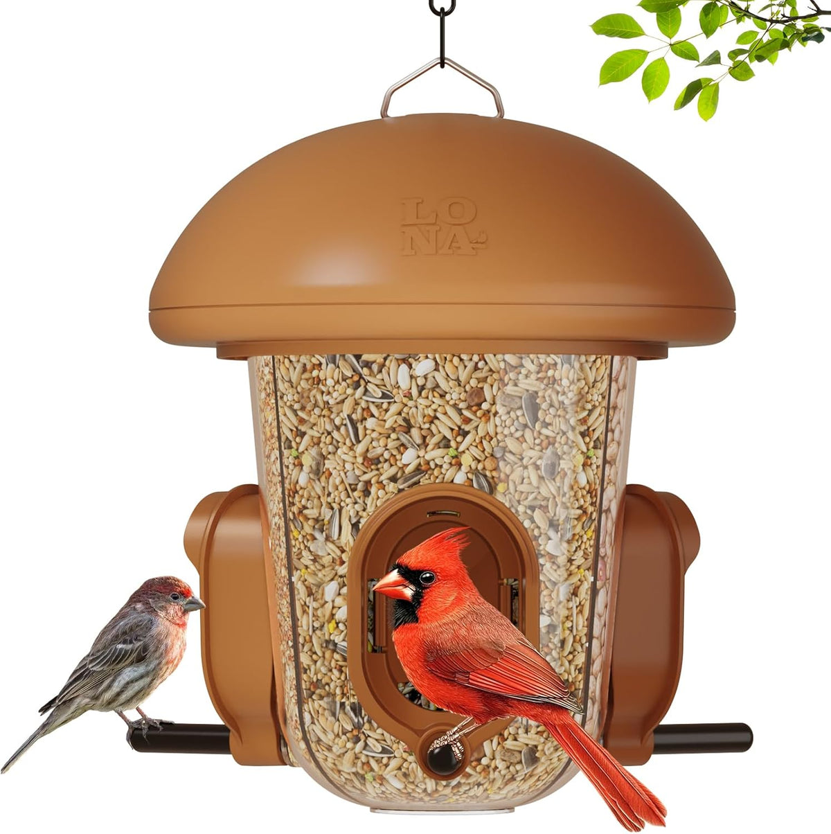 LONA Bird Feeders for Outdoors Hanging – 3 Separate Compartments, 3 Feeding Ports, Weatherproof