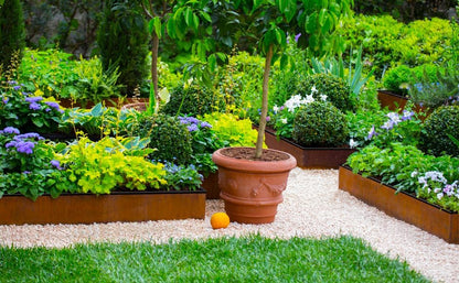 Worth Garden 6-Pack Cor-Ten Steel Landscape Edging with Black Protection Strips - Rust Patina