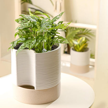 Nihow Self Watering Plant Pot: 8 Inch Ceramic Planter with Drainage Hole & Water Storage Plus for