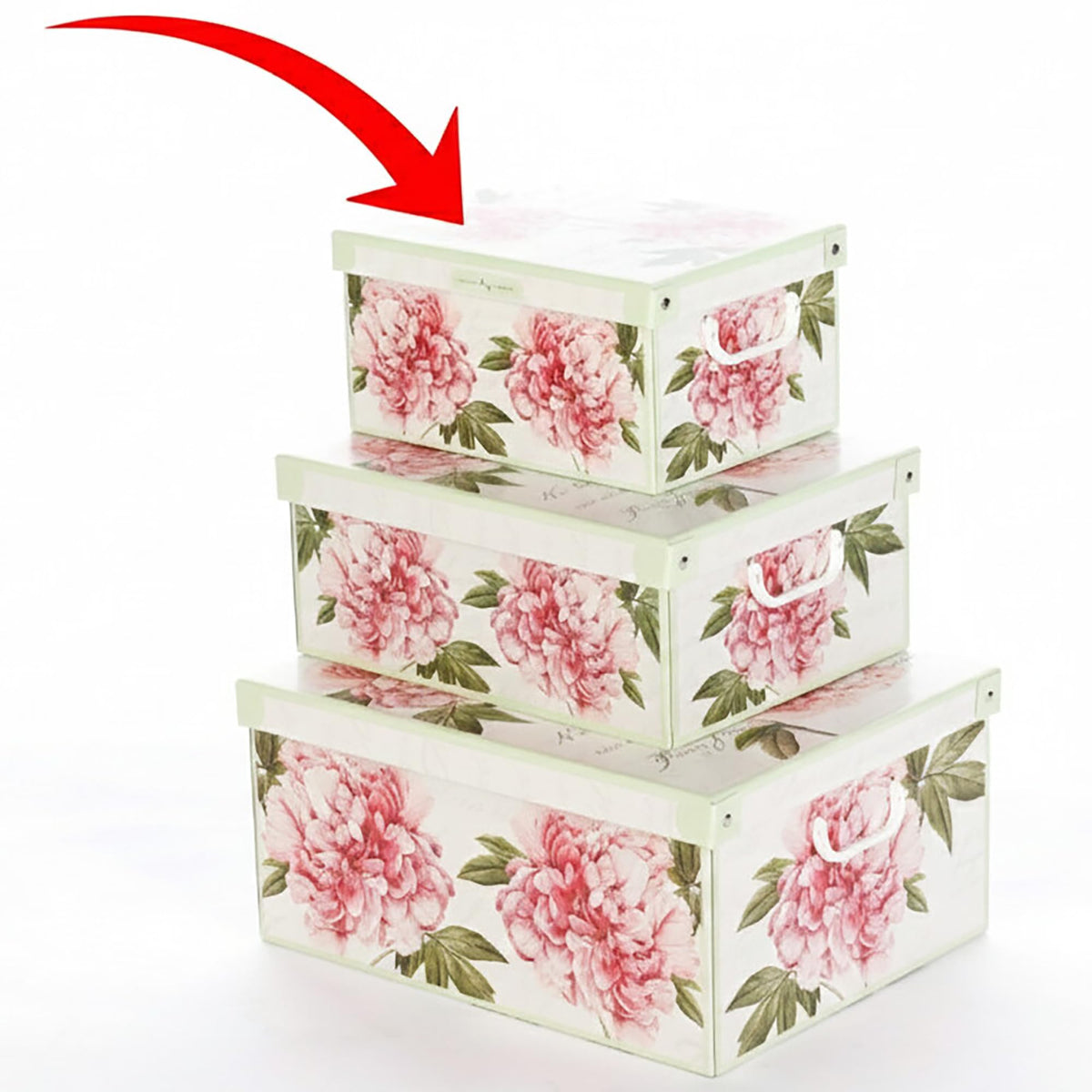 Lavatelli: Storage Box: Small - Peony - Lid & Side Handles, Decorative Cardboard Organizer