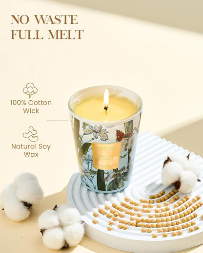 M&SENSE Jasmine Garland Scented Natural Soy Wax Candle, 14.1oz 60 Hours Long Lasting Slow Burning