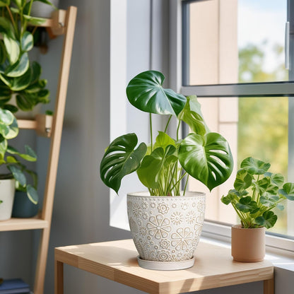 6.9 Inch Plant Pot with Drainage Hole and Saucer Ceramic Planter for Indoor Plant Flower Pot for