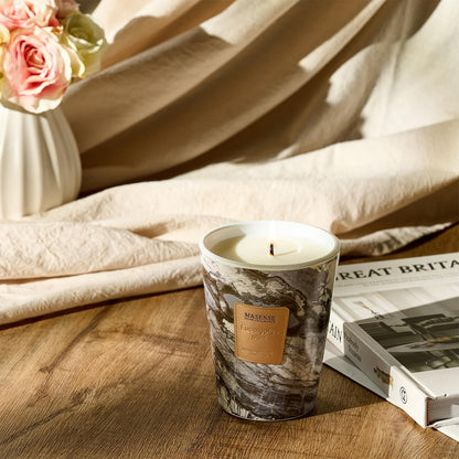 M&SENSE EucalyptusMint Scented Candles for Home, Lead-Free Wick Highly Scented Jar Candles, 14.1 Oz