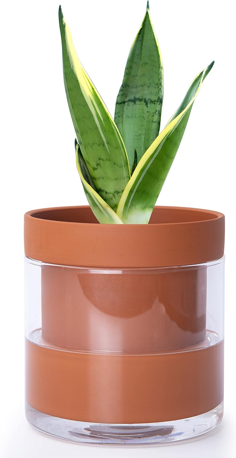 Phoenix Vine 6 Inch Self Watering Planter Pot, Terracotta Clay Pot with Glass Reservoir for Indoor
