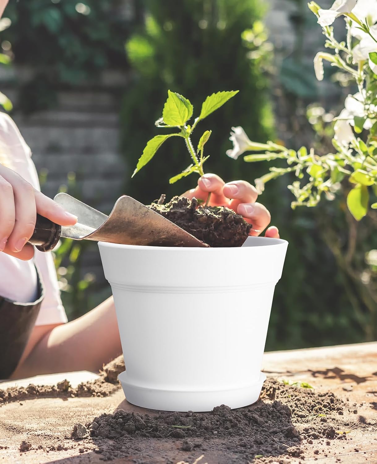 homenote Plant Pots,6 Inch Flower Pots for Plants Plastic Planters for Indoor with Multiple