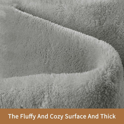 Sour Lemon 5x7 Area Rugs for Living Room, Soft Large Area Rug Fluffy Rugs for Bedroom，Machine