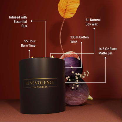Benevolence LA 3 Wick Candle, Fig Tree Large Scented Candle | Soy Candles | Gifts for Women and Men