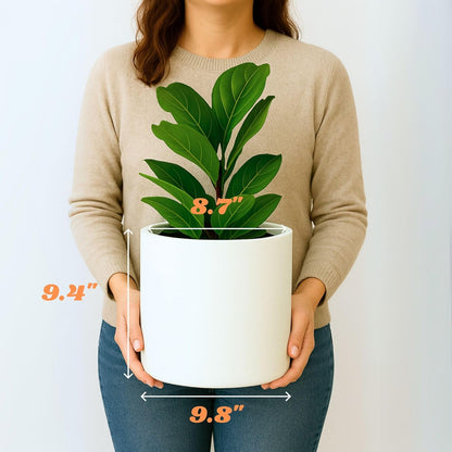 Fox & Fern 10 Inch Plant Pot with Drainage Plug — Premium Lightweight Fiberstone Matte White
