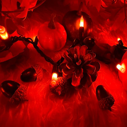 HISHINY Orange Halloween Lights,100 Count Incandescent Lights String with Black Wire,Ideal Outdoor