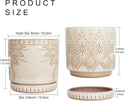 6 Inch Indoor Plant Pots with Drainage Holes and Saucers, Ceramic Planter for Plants, Flower Pot