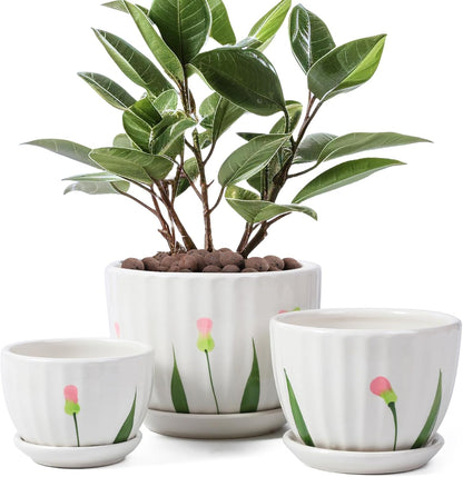 Ceramic Plant Pots with Drainage Holes and Saucers, Round White Flower Pots for Indoor Plant