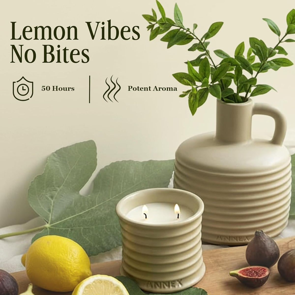 Scented Luxury Citronella Candles outdoor, Mosquito Bug Repellent | Handmade Ceramic Jars, Soy Wax