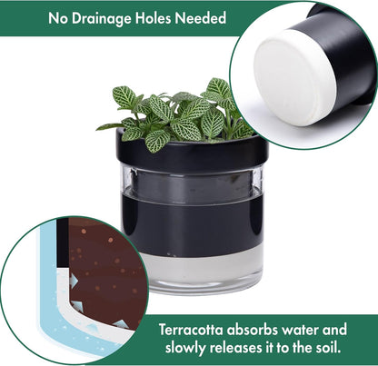 Phoenix Vine 4 Inch Self Watering Planter Pot, Black Terracotta Clay Pot with Glass Reservoir for