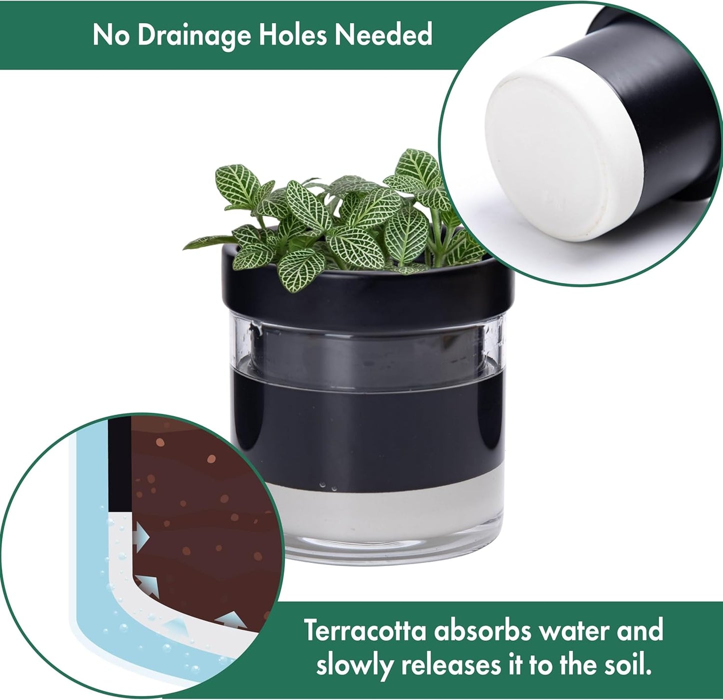 Phoenix Vine 4 Inch Self Watering Planter Pot, Black Terracotta Clay Pot with Glass Reservoir for