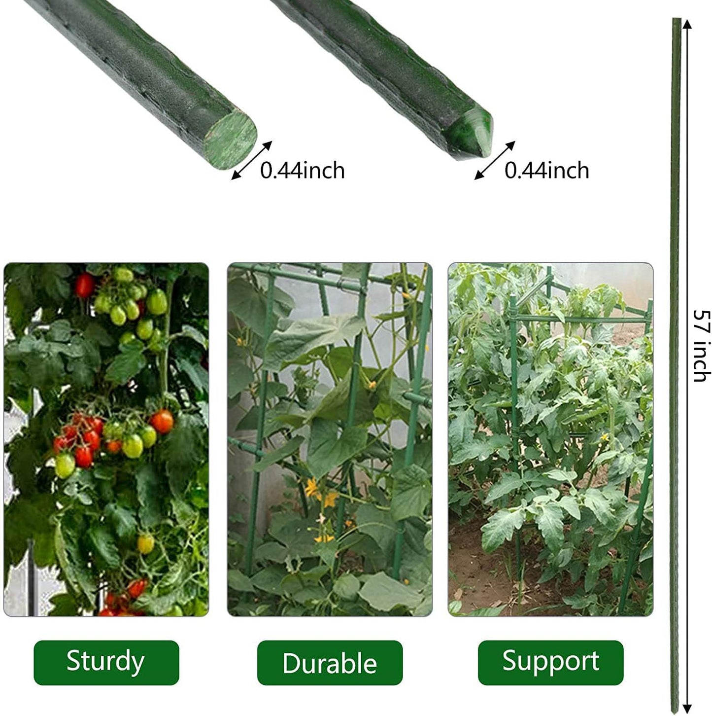 Garden Plant Stakes 57 Inch (Approx 5Ft) Steel Plant Stick Support, 25 Pack Tomato Stakes for