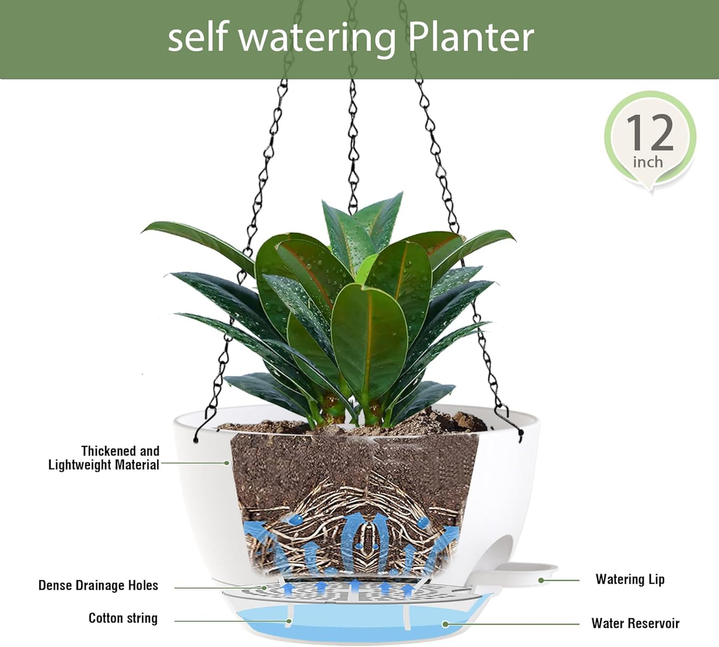 12 Inch Hanging Baskets 2 PC with Chains, Self-Watering Hanging Planters for Indoor Outdoor Plants