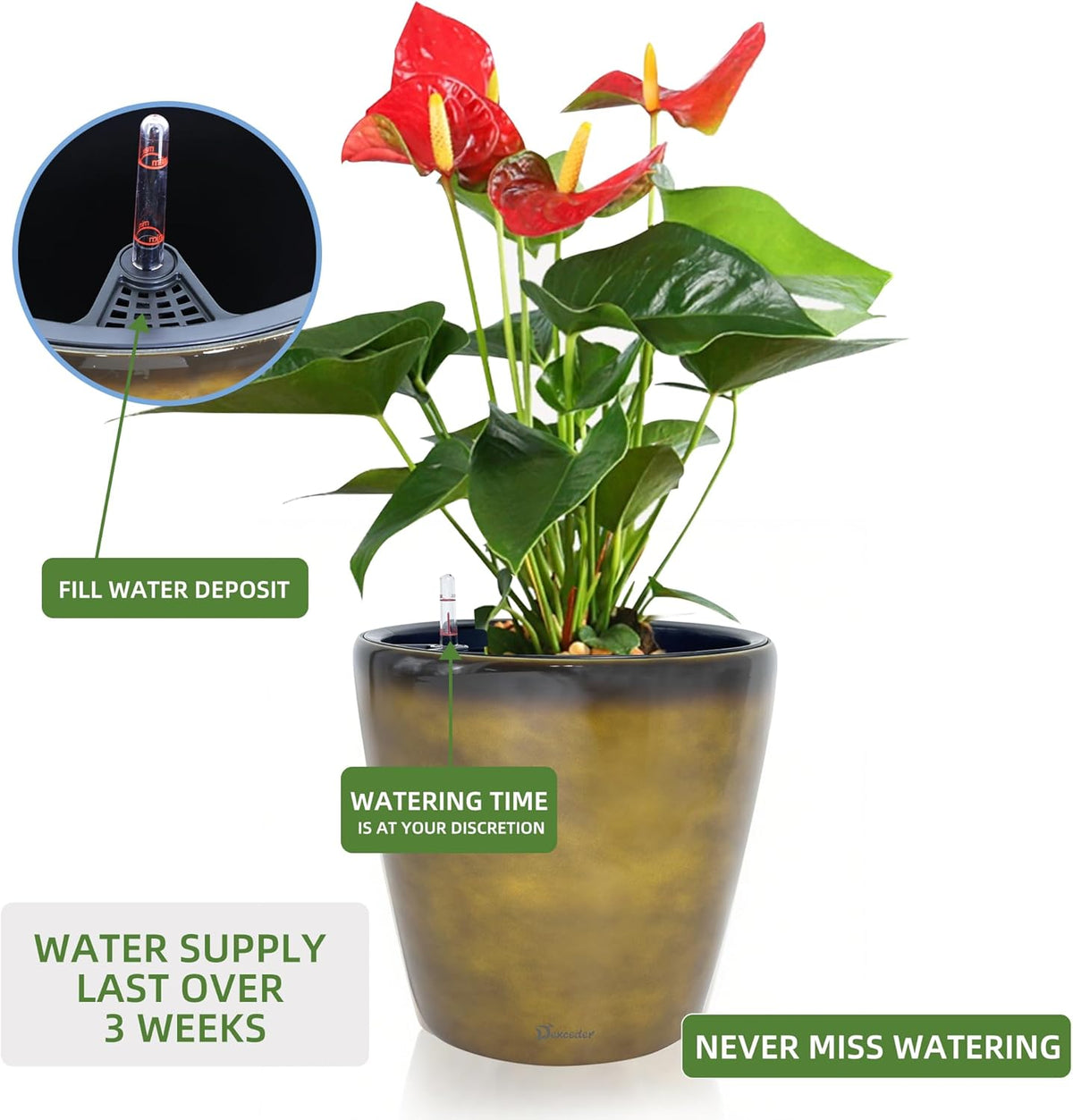 Dexceder 15x14 Self Watering Planter with Wheels Indoor Outdoor, Inner Pot Design, Thickened Large