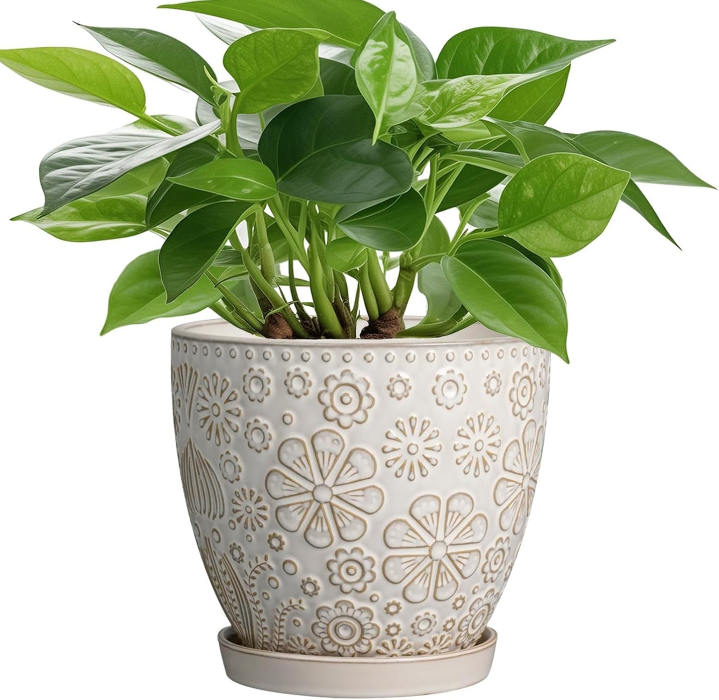 6.9 Inch Plant Pot with Drainage Hole and Saucer Ceramic Planter for Indoor Plant Flower Pot for
