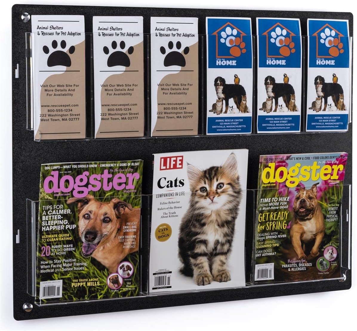 Displays2go Tiered Brochure Rack for Wall, 6-12 Adjustable Pockets, Frameless Acrylic - Black