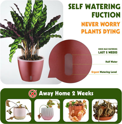 Self Watering Pots for Indoor Plants, 4-Pack 6.7'' Self Watering Planter with Drainage Holes, Small
