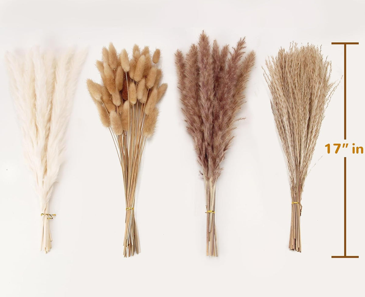 Dried Pampas Grass Decor, 100 Stems Pampas Grass Contains Bunny Tails Dried Flowers, Reed Grass