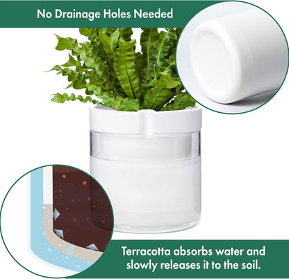 Phoenix Vine 8 Inch Self Watering Planter, White Terracotta Clay Pot with Glass Reservoir for