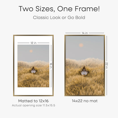 Homeforia 14x22 Picture Frame Bronze, High End Metal 14x22 Brass Poster Frames with Mat 12x16 for