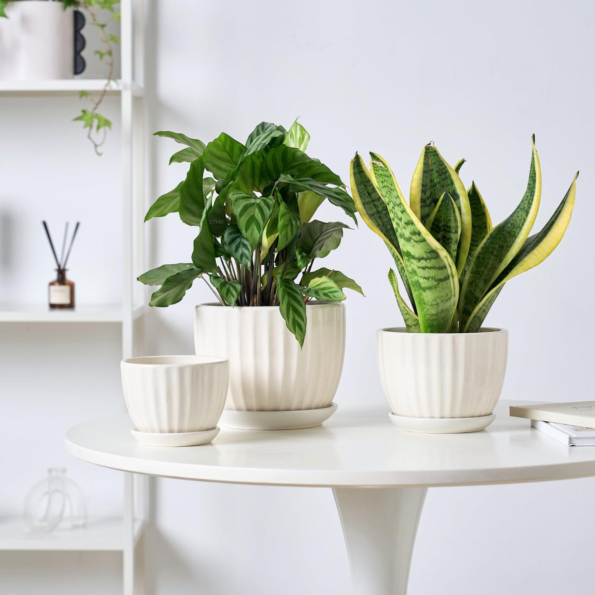 4/5/6 Inches Ceramic Plant Pots with Drainage Holes and Saucers, Round Flower Pots for Indoor