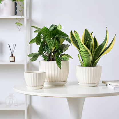 4/5/6 Inches Ceramic Plant Pots with Drainage Holes and Saucers, Round Flower Pots for Indoor