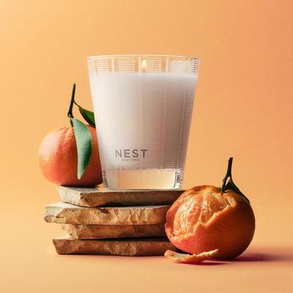 NEST New York Scented Classic Candle, Sicilian Tangerine - 8.1 oz - Up to 60-Hour Burn Time