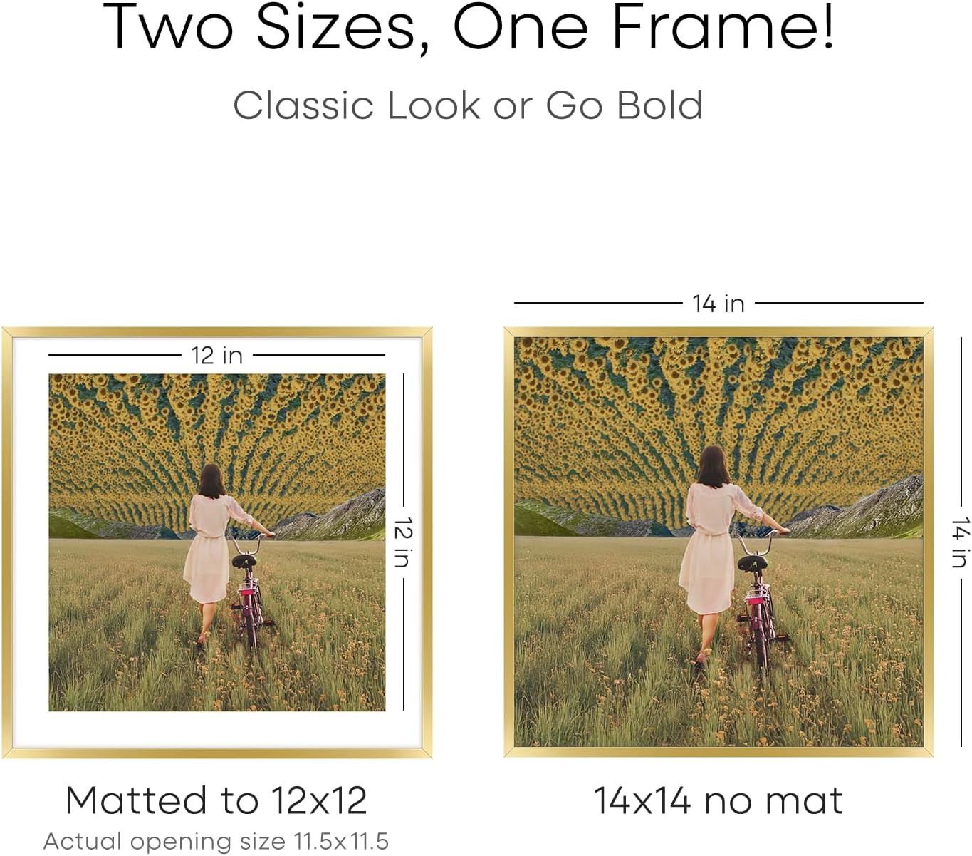 Homeforia 14x14 Picture Frame Gold, High End Metal 14 x 14 Square Poster Frame with Mat 12 x 12